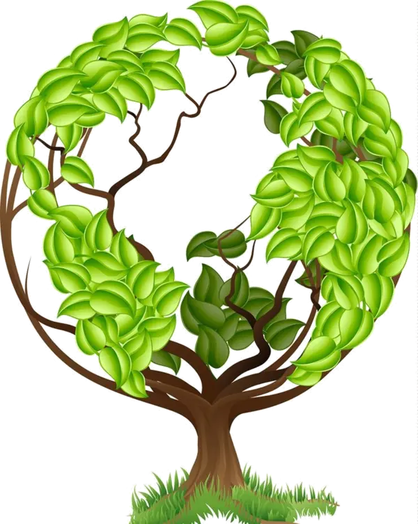 ShopShipy Sustainable Impact Plan